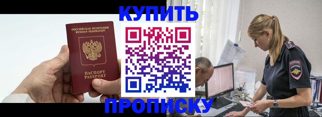 прописка поиск в Борзе